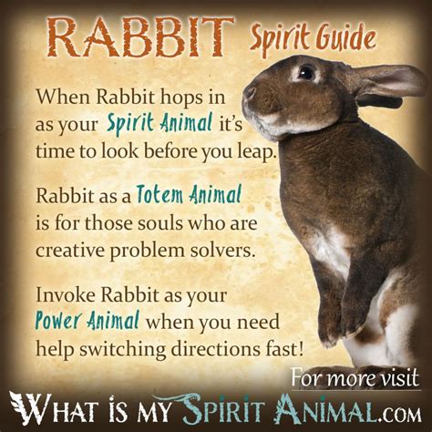 A Witch’s Guide to Taming the Were Rabbit